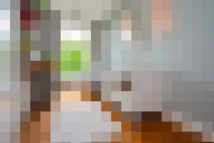 Mathenesserlaan 403 A Rotterdam thumbnail 18