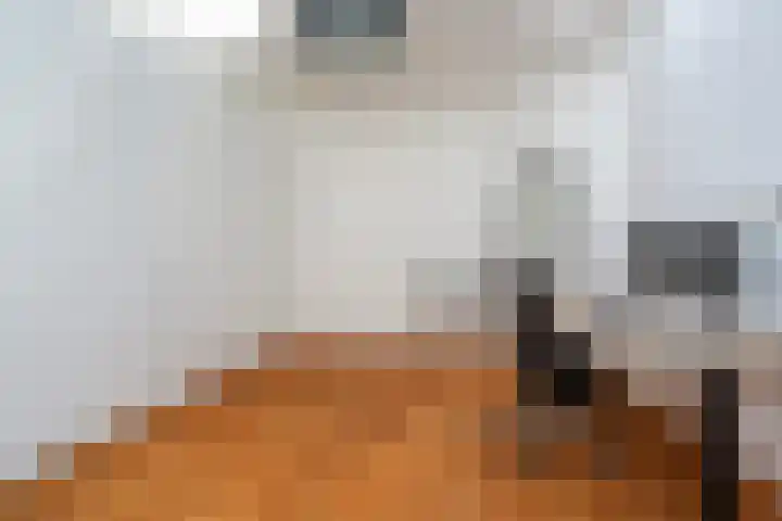 Mathenesserlaan 403 A Rotterdam thumbnail 20