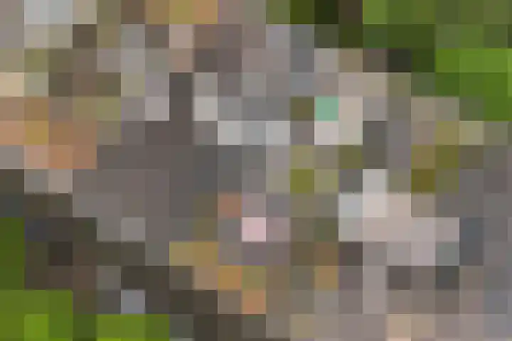 Mathenesserlaan 403 A Rotterdam thumbnail 30