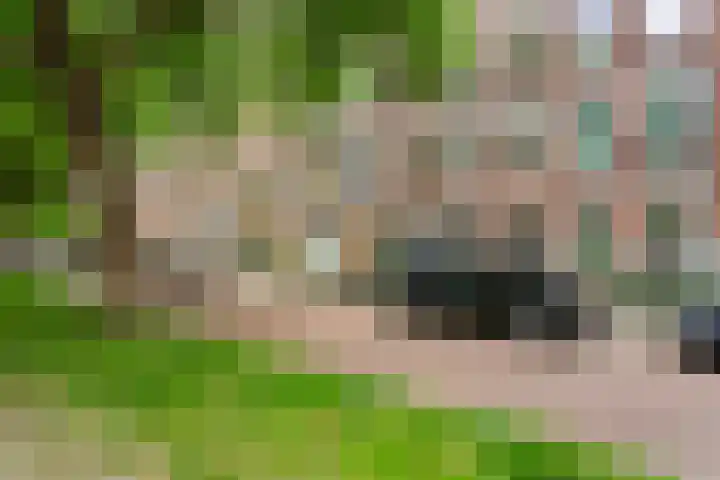 Mathenesserlaan 403 A Rotterdam thumbnail 4