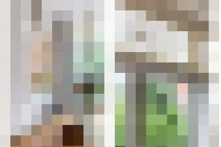 Mathenesserlaan 403 A Rotterdam thumbnail 8