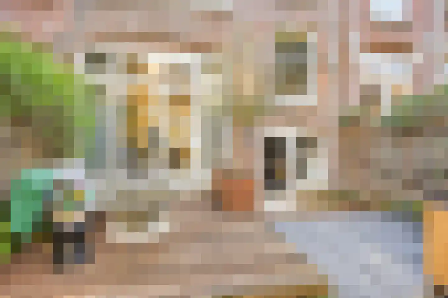 Mathenesserlaan 403 B Rotterdam thumbnail 15