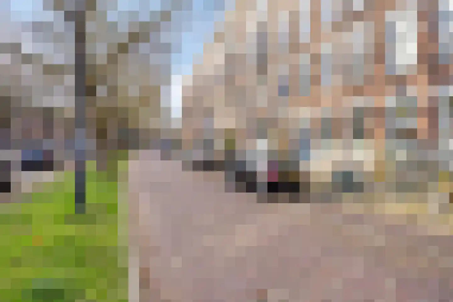 Mathenesserlaan 403 B Rotterdam thumbnail 35