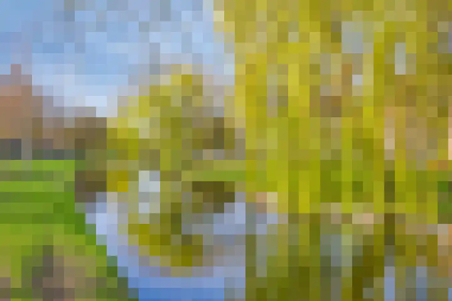 Mathenesserlaan 403 B Rotterdam thumbnail 38