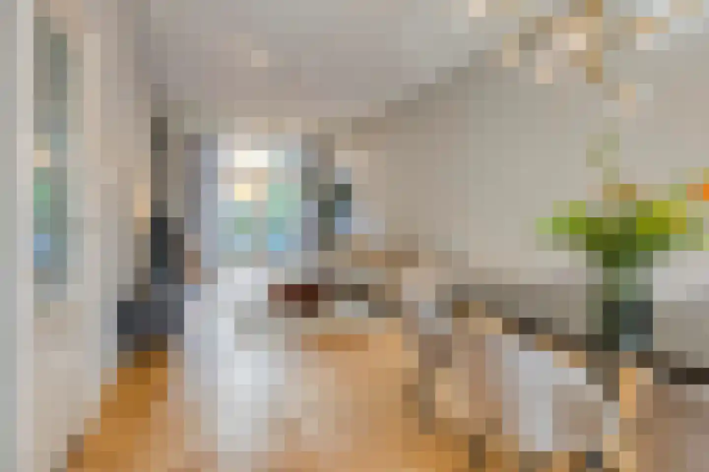 Mathenesserlaan 403 B Rotterdam thumbnail 7