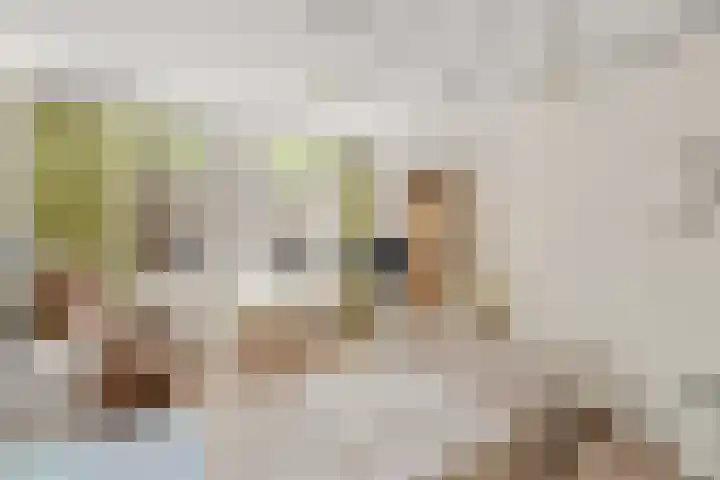 Mathenesserlaan 424 B Rotterdam thumbnail 17
