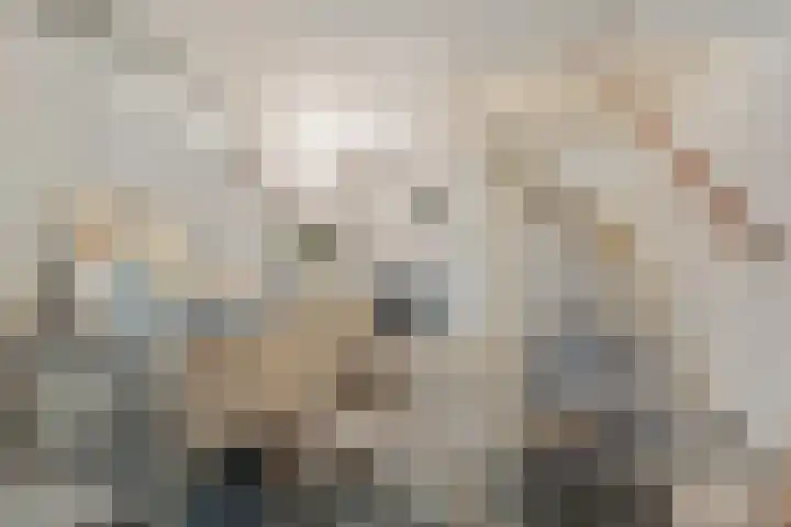 Mathenesserlaan 424 B Rotterdam thumbnail 21