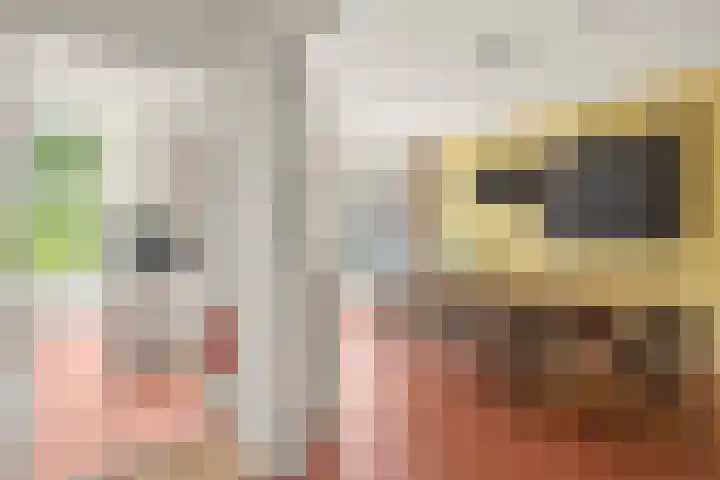 Mathenesserlaan 424 B Rotterdam thumbnail 32