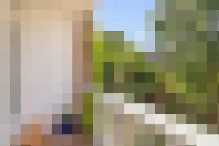 Mathenesserlaan 424 B Rotterdam thumbnail 42
