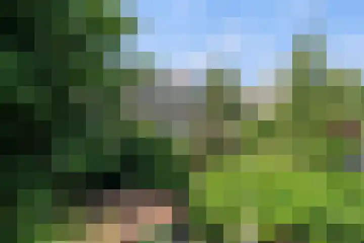 Mathenesserlaan 424 B Rotterdam thumbnail 44