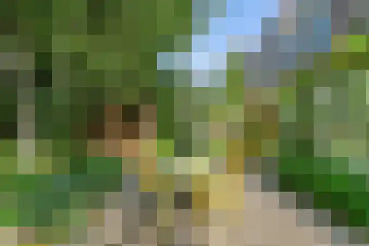 Mathenesserlaan 424 B Rotterdam thumbnail 45