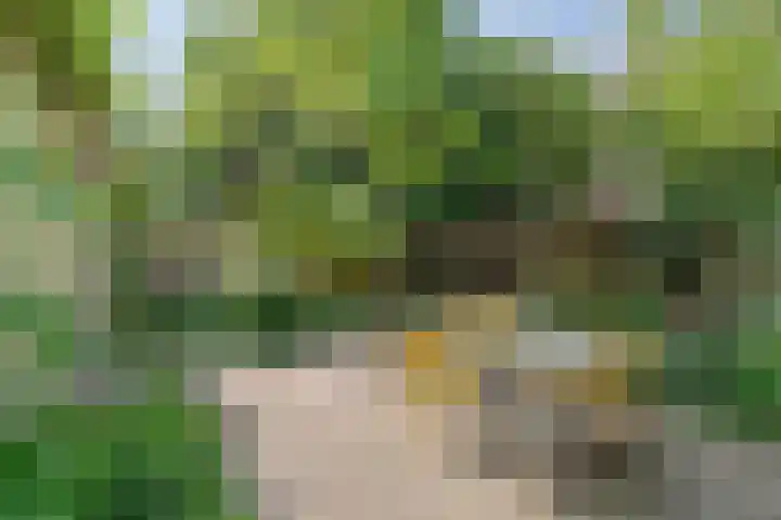 Mathenesserlaan 424 B Rotterdam thumbnail 46