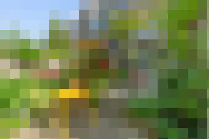 Mathenesserlaan 424 B Rotterdam thumbnail 47