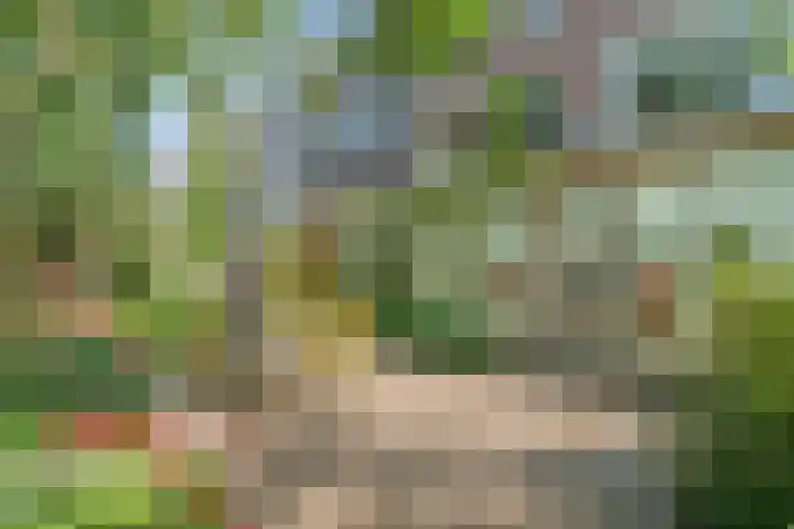 Mathenesserlaan 424 B Rotterdam thumbnail 5