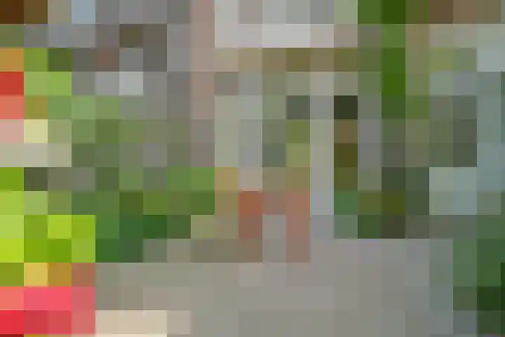 Mathenesserlaan 424 B Rotterdam thumbnail 6