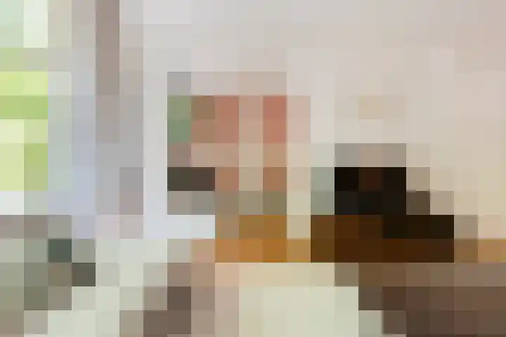 Mathenesserlaan 426 A Rotterdam thumbnail 12