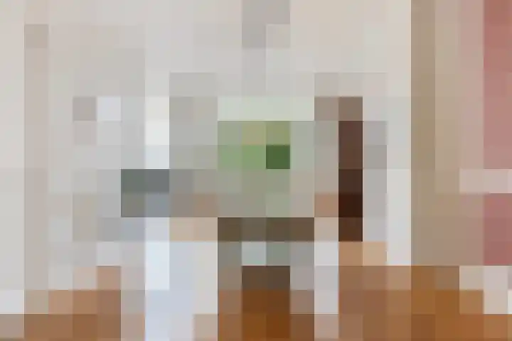 Mathenesserlaan 426 A Rotterdam thumbnail 19