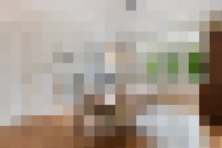 Mathenesserlaan 426 A Rotterdam thumbnail 20