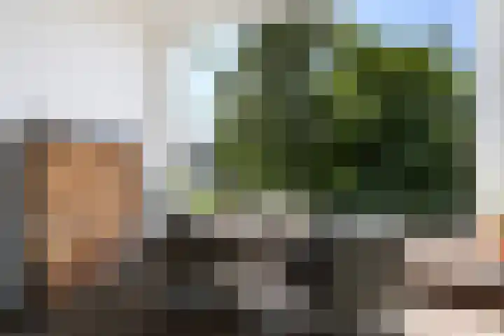 Mathenesserlaan 426 A Rotterdam thumbnail 24