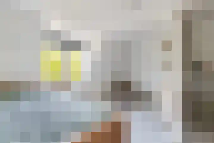 Mathenesserlaan 426 A Rotterdam thumbnail 38
