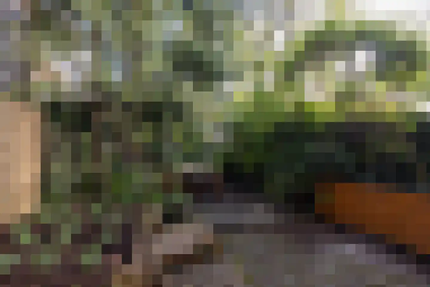 Mathenesserlaan 427 B Rotterdam thumbnail 29