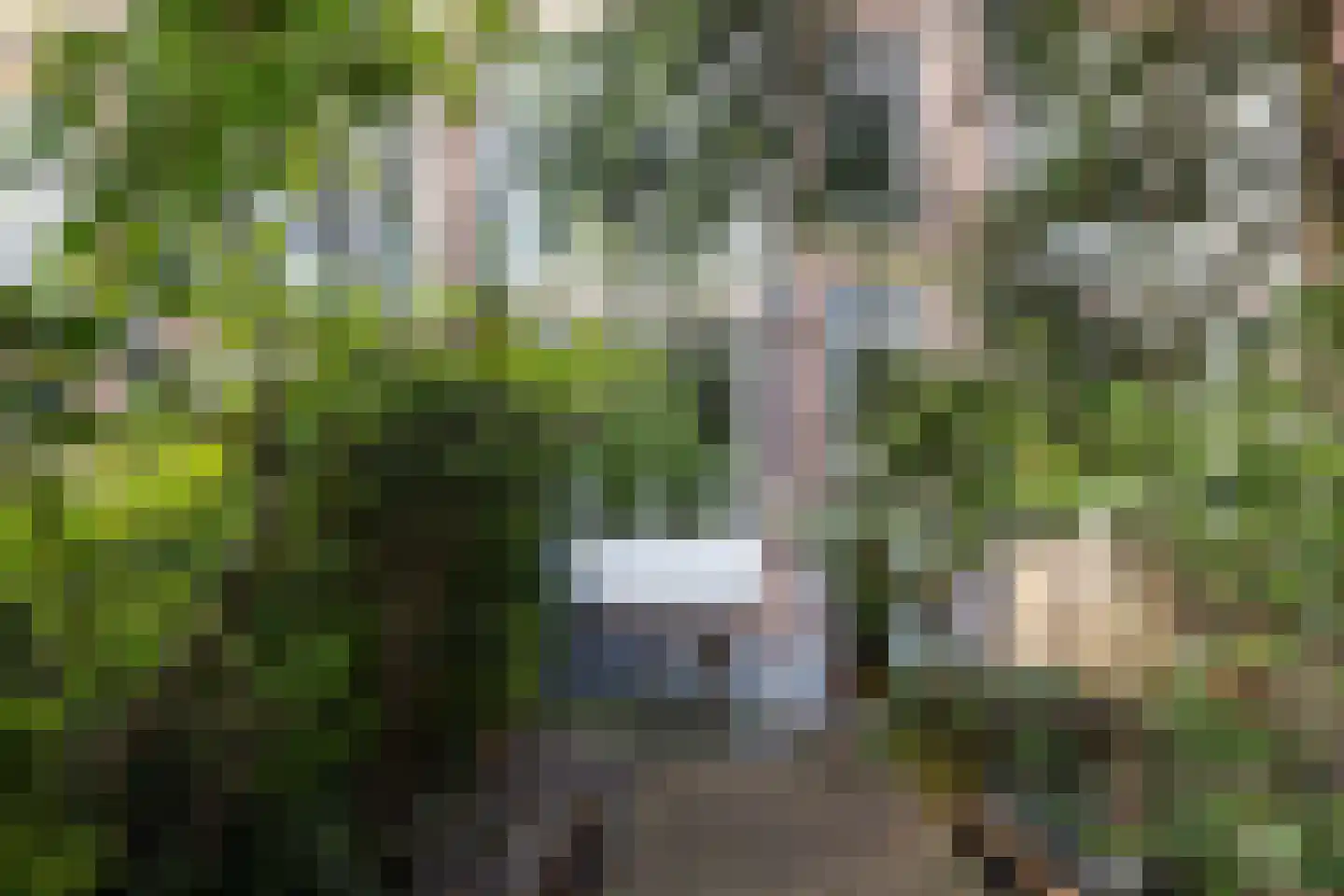 Mathenesserlaan 427 B Rotterdam thumbnail 32