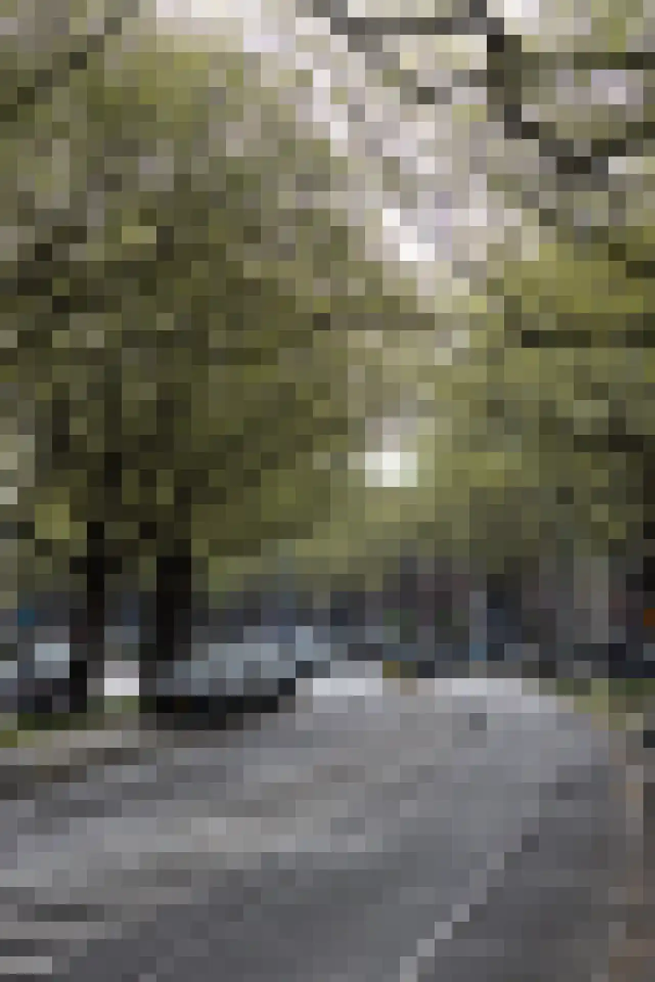 Mathenesserlaan 427 B Rotterdam thumbnail 41