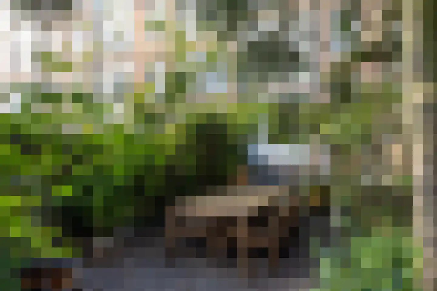 Mathenesserlaan 427 B Rotterdam thumbnail 5