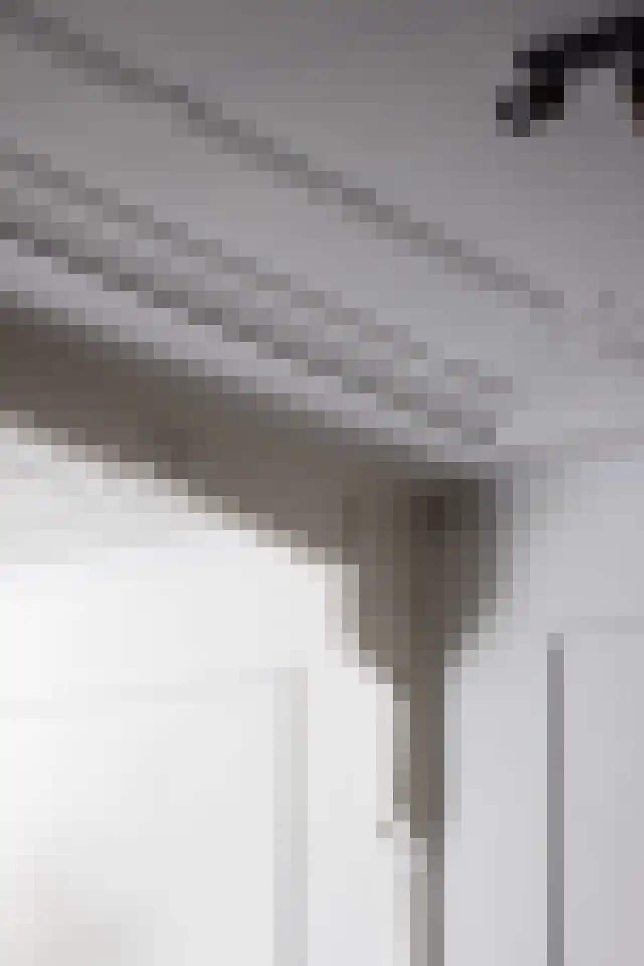 Mathenesserlaan 427 B Rotterdam thumbnail 7