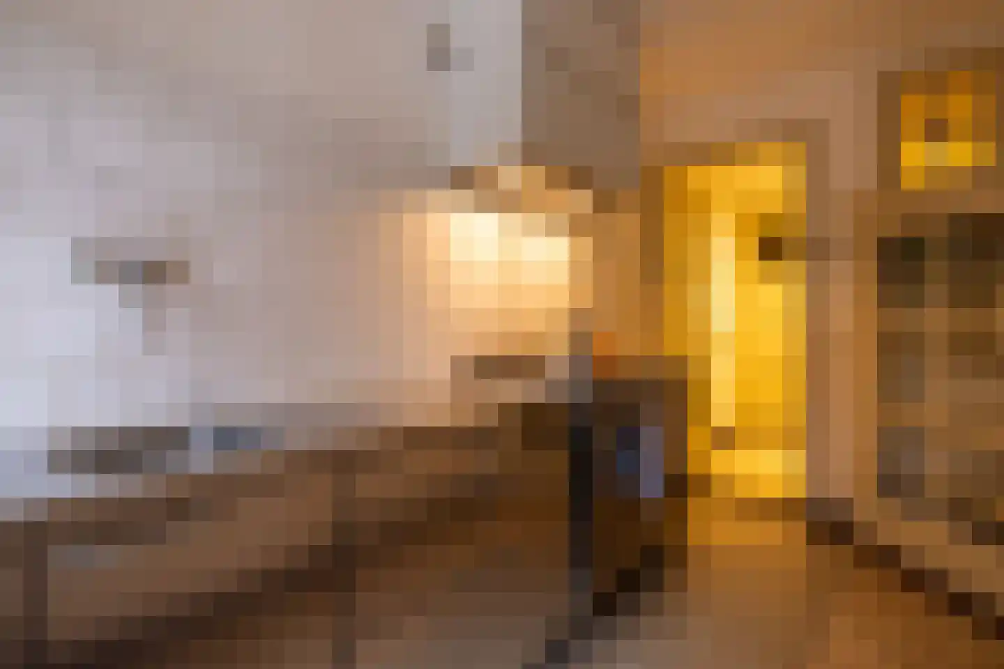 Mathenesserlaan 459 Rotterdam thumbnail 12