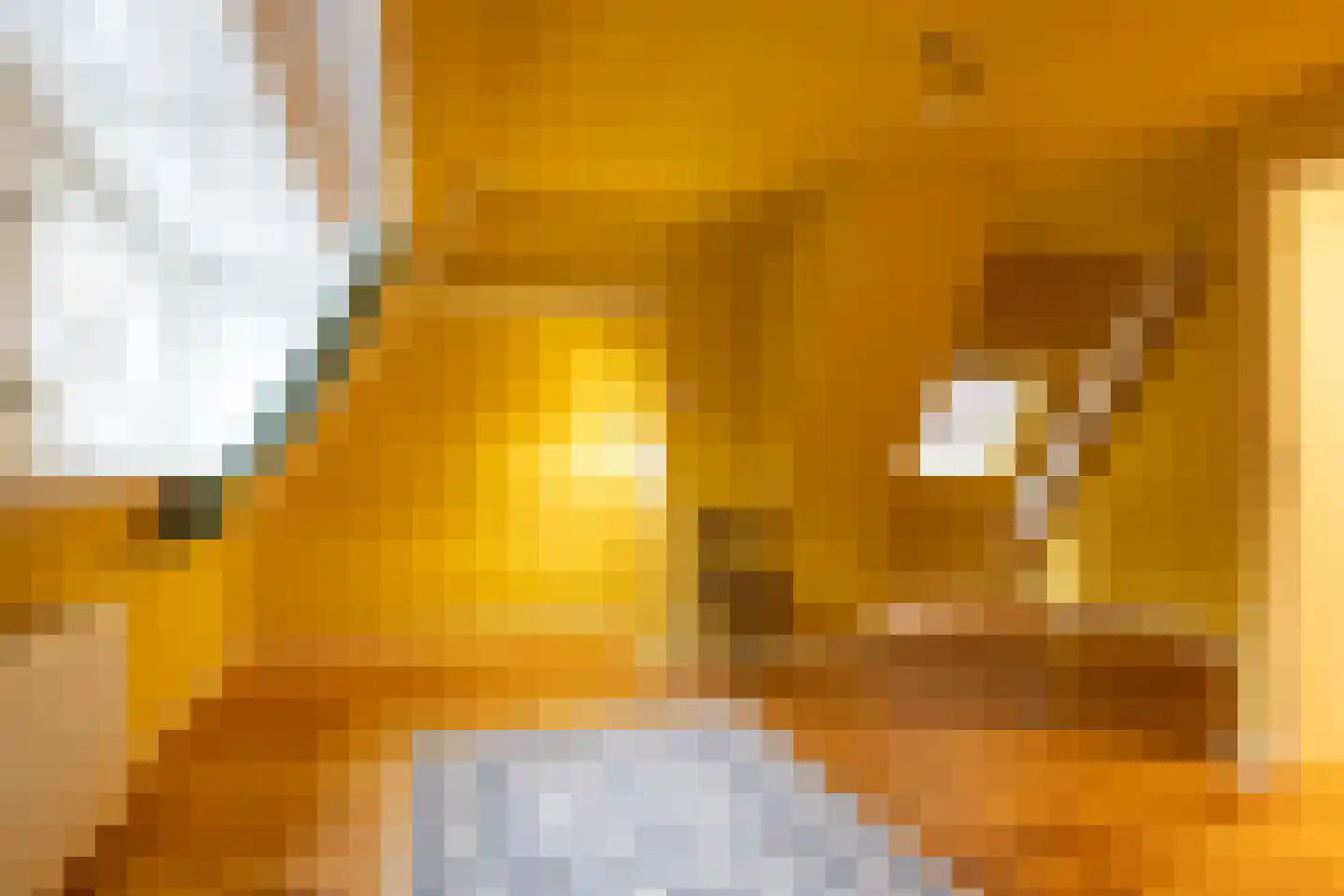 Mathenesserlaan 459 Rotterdam thumbnail 35