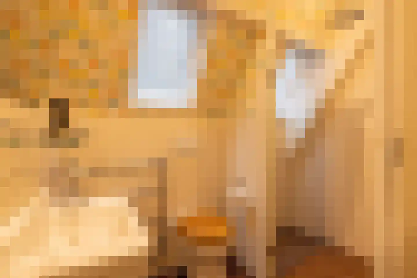 Mathenesserlaan 459 Rotterdam thumbnail 36