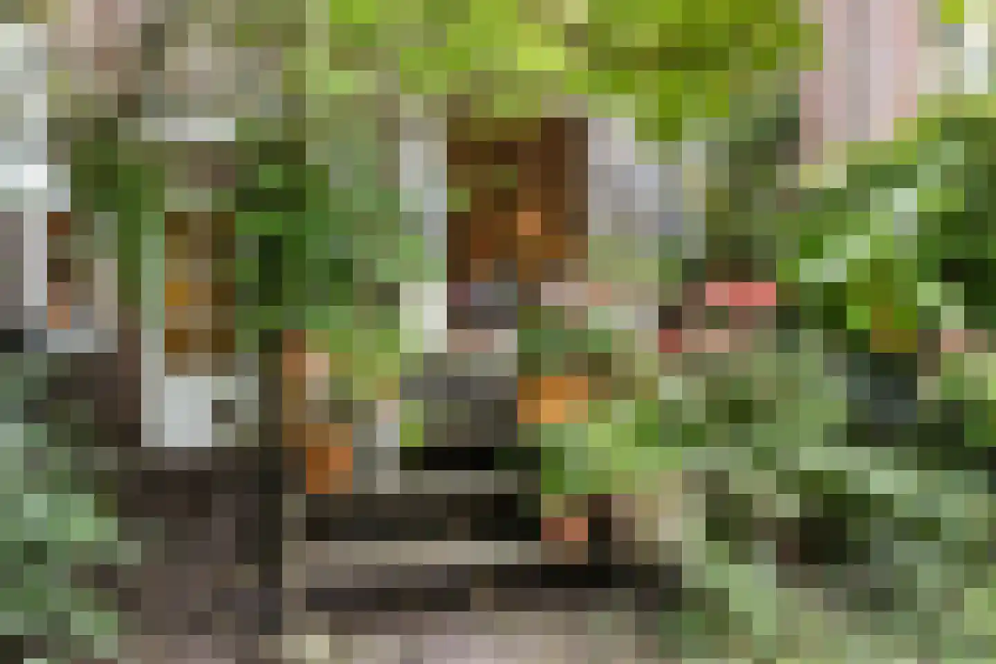 Mathenesserlaan 459 Rotterdam thumbnail 44