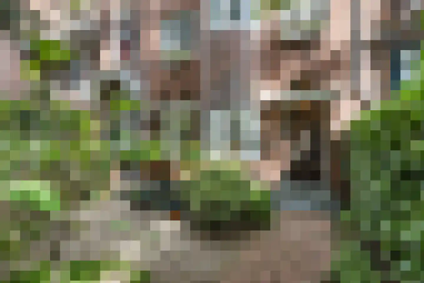 Mathenesserlaan 459 Rotterdam thumbnail 47