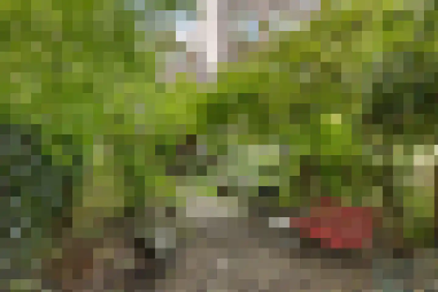 Mathenesserlaan 459 Rotterdam thumbnail 5