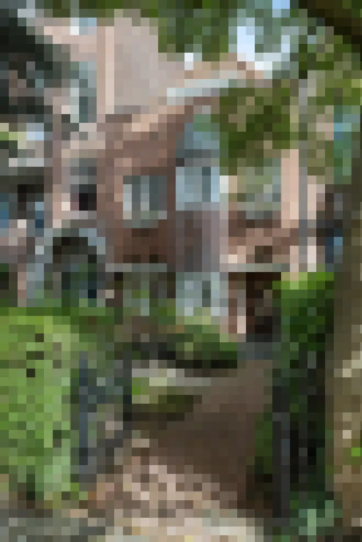 Mathenesserlaan 459 Rotterdam thumbnail 6