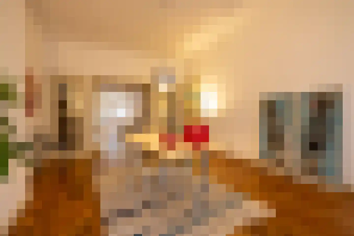 Mathenesserlaan 459 Rotterdam thumbnail 9