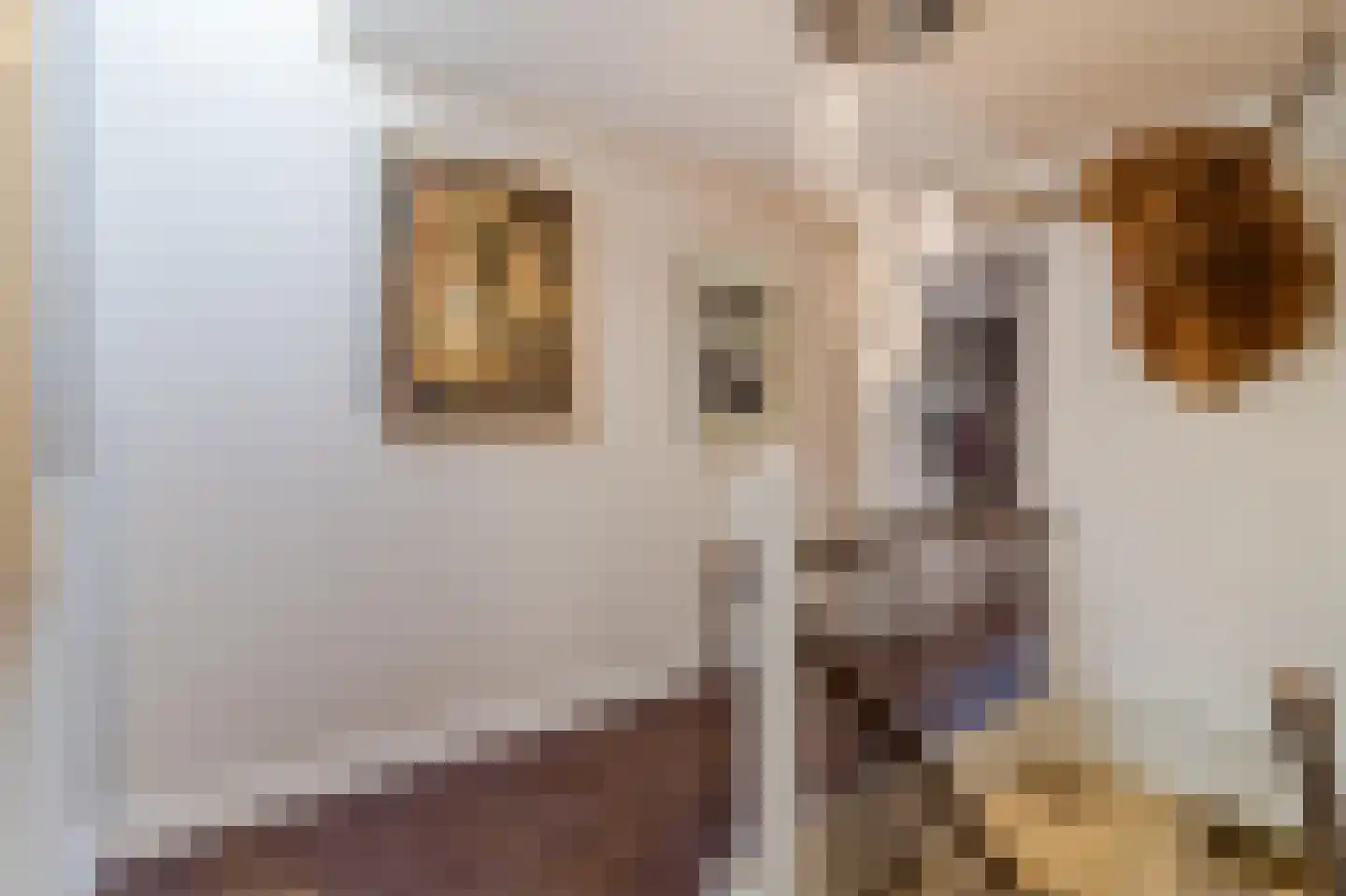 Mathenesserlaan 476 A Rotterdam thumbnail 35