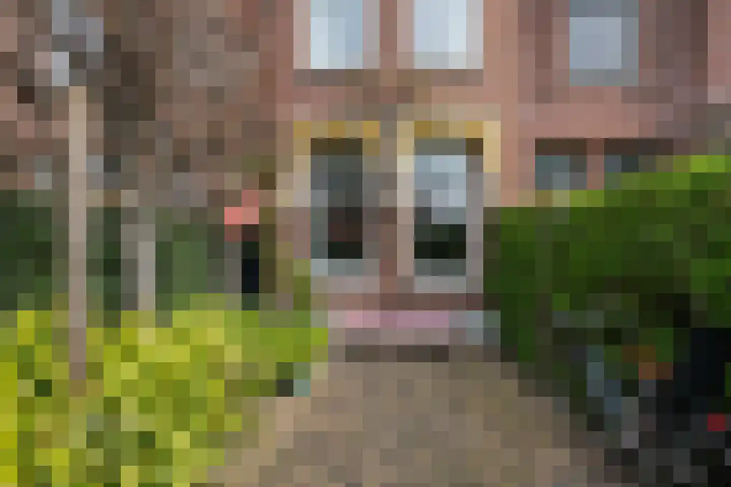 Mathenesserlaan 481 A Rotterdam thumbnail 40