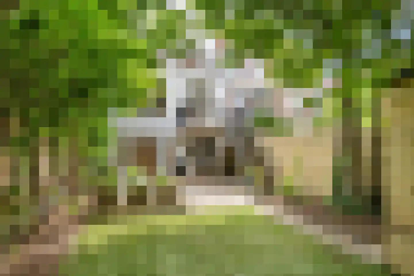 Mathenesserlaan 482 A Rotterdam thumbnail 21