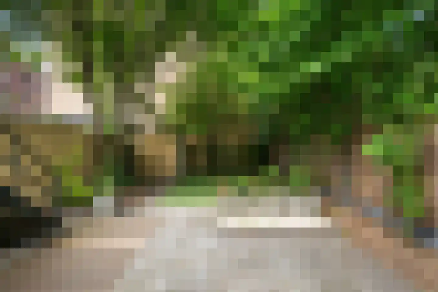 Mathenesserlaan 482 A Rotterdam thumbnail 25