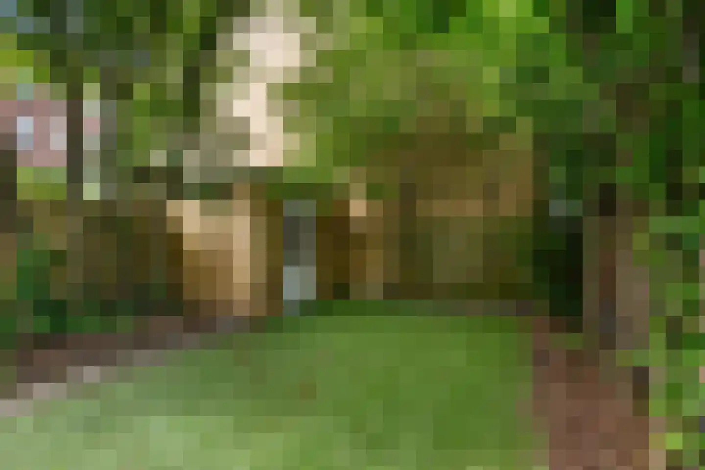 Mathenesserlaan 482 A Rotterdam thumbnail 26