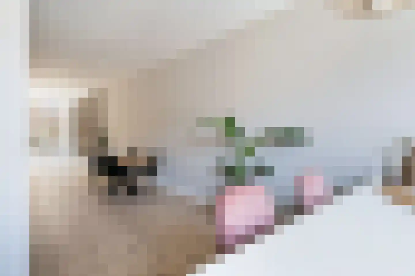 Mathenesserlaan 482 B Rotterdam thumbnail 13
