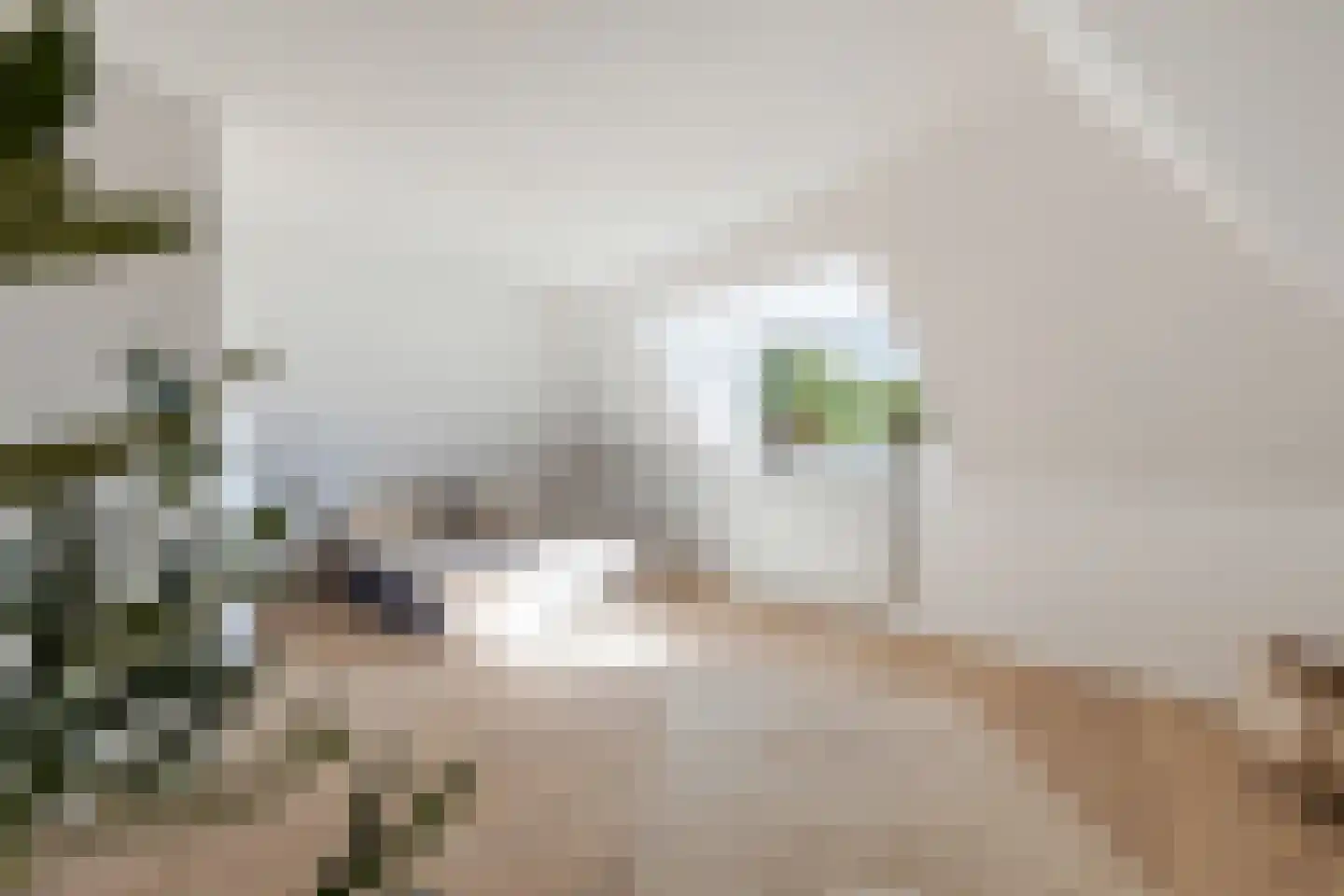 Mathenesserlaan 482 B Rotterdam thumbnail 38