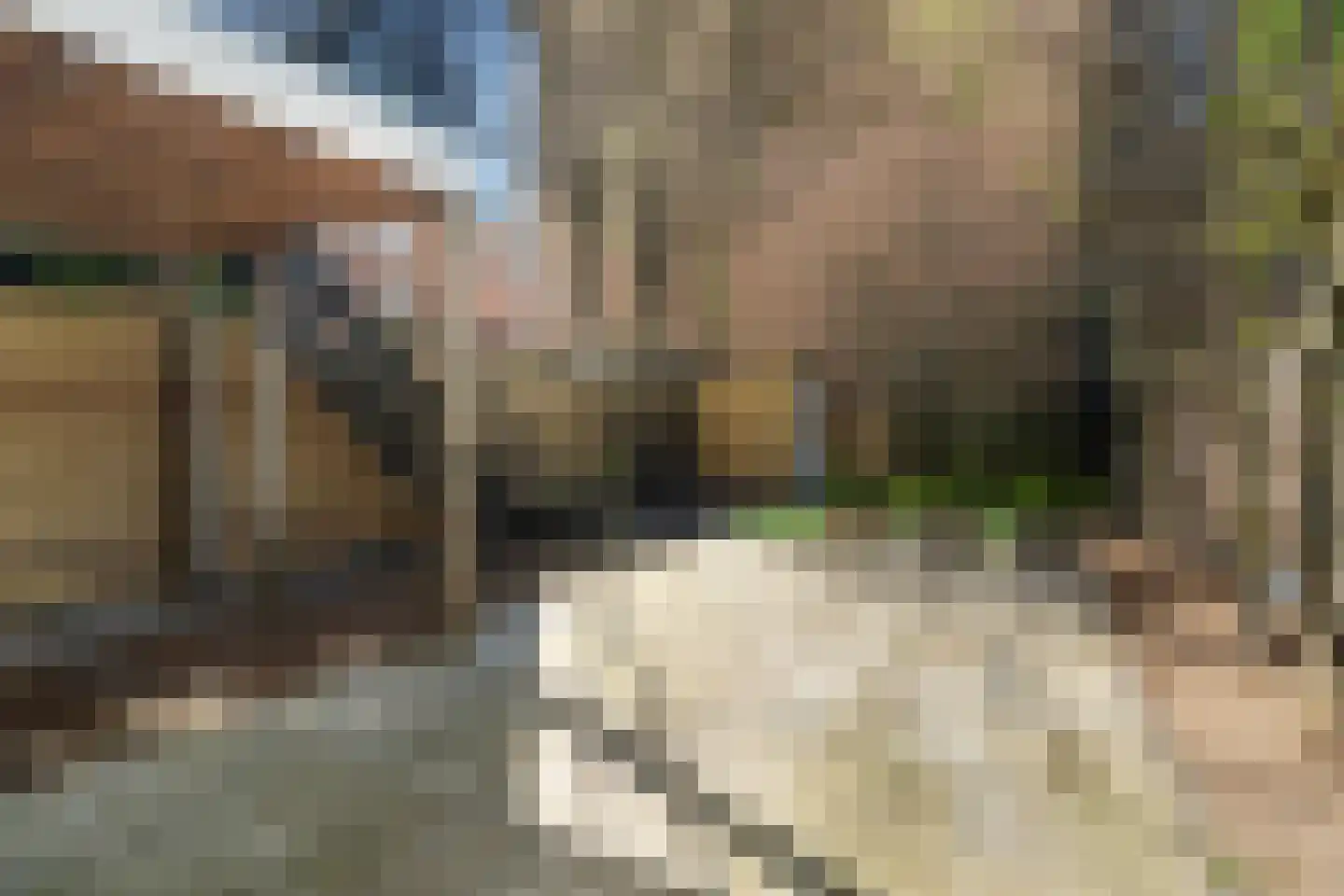 Mathenesserlaan 482 B Rotterdam thumbnail 43