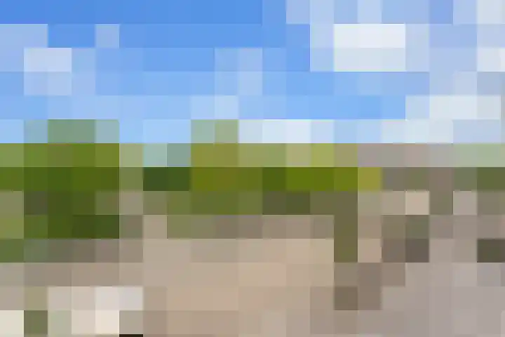 Mathenesserplein 9 Rotterdam thumbnail 30