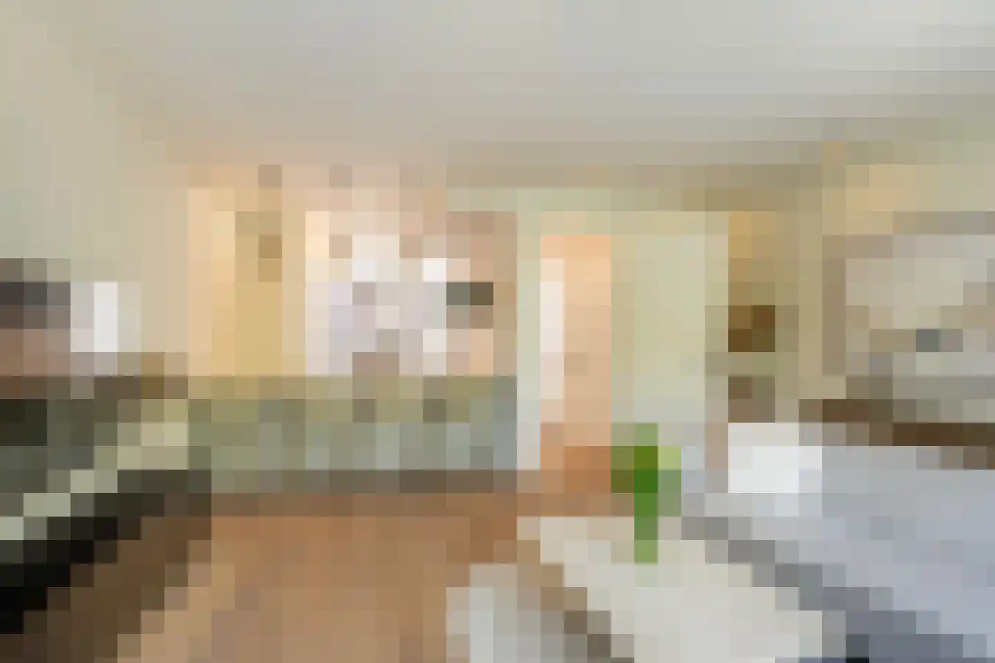 Mathenesserstraat 157 Rotterdam thumbnail 15