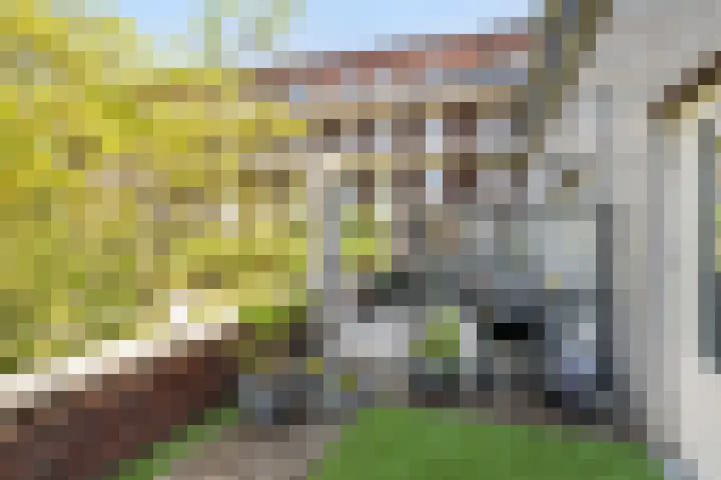 Mathenesserstraat 157 Rotterdam thumbnail 18