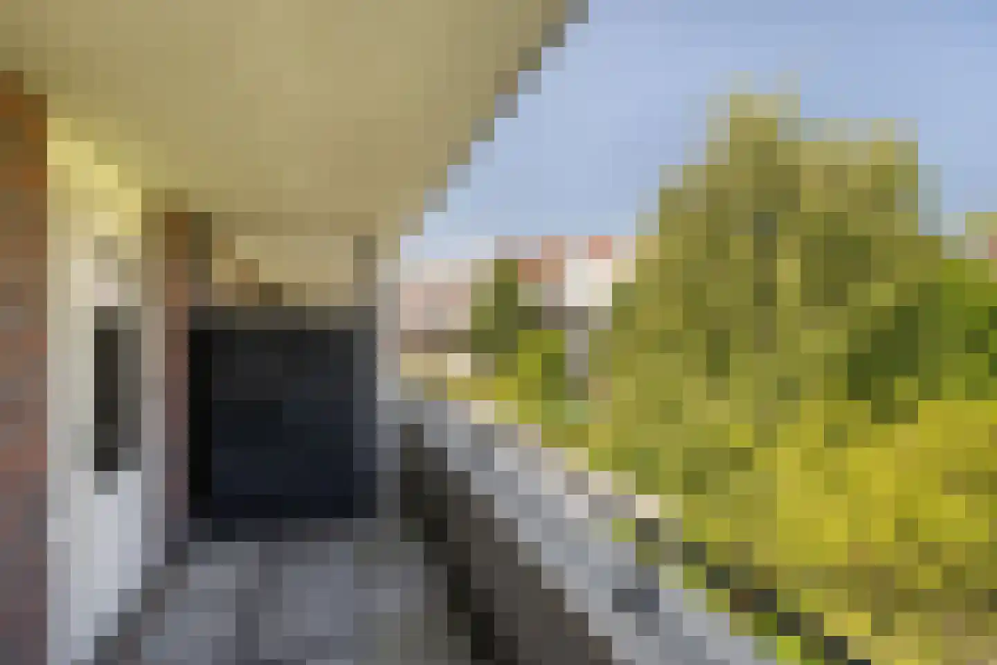 Mathenesserstraat 157 Rotterdam thumbnail 35