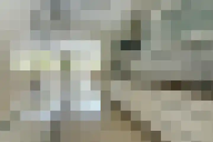 Mathenesserstraat 163 Rotterdam thumbnail 5